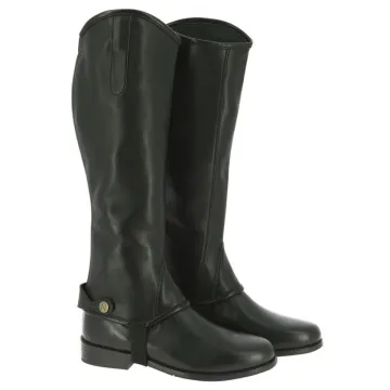 Czapsy Norton Stretch