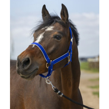 Kantar EquiTheme Nylon Light