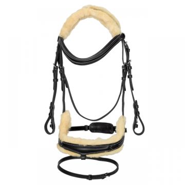 Ogłowie anatomiczne START Andromeda