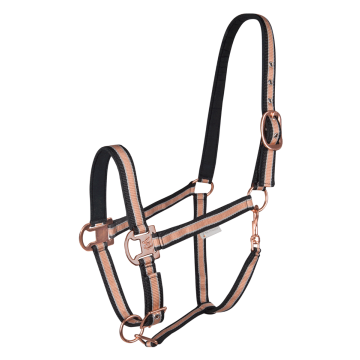 Kantar Waldhausen błyszczący