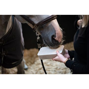 Lizawka dla konia Cavalor Stable Rocky 2 kg