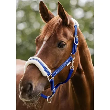 Kantar Waldhausen Elegant