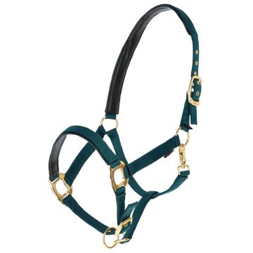 Kantar Covalliero TopLine