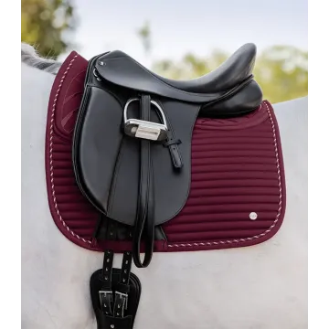 Czaprak Waldhausen Ryga